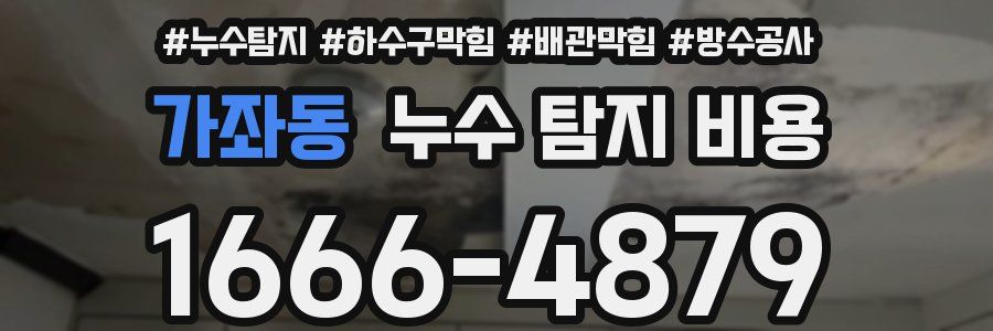 가좌동 누수 탐지 비용