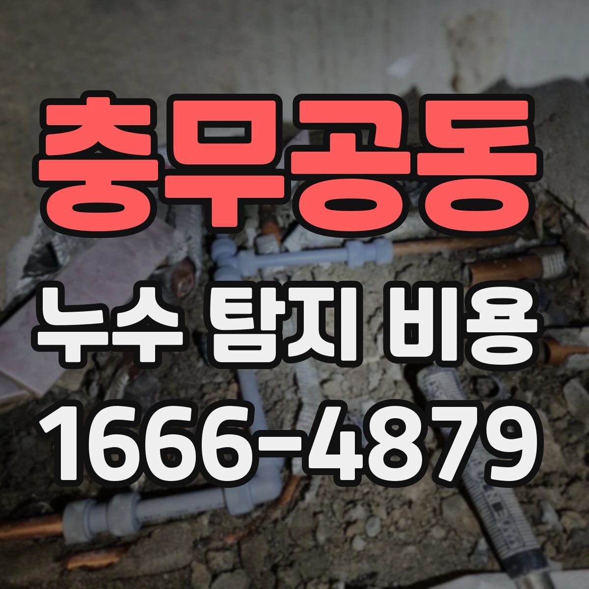 충무공동 누수 탐지 비용