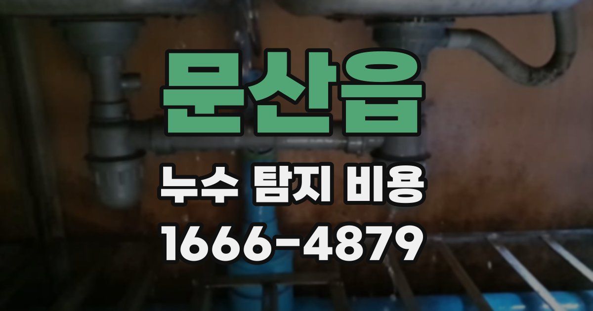 문산읍 누수 탐지 비용