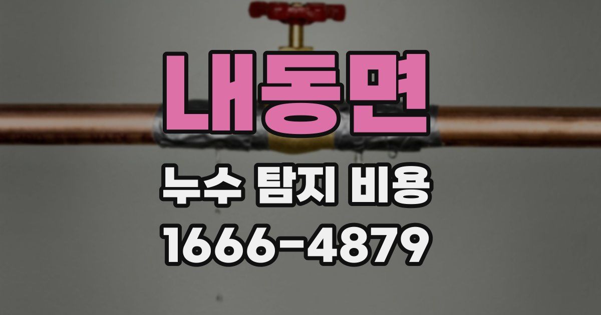 내동면 누수 탐지 비용