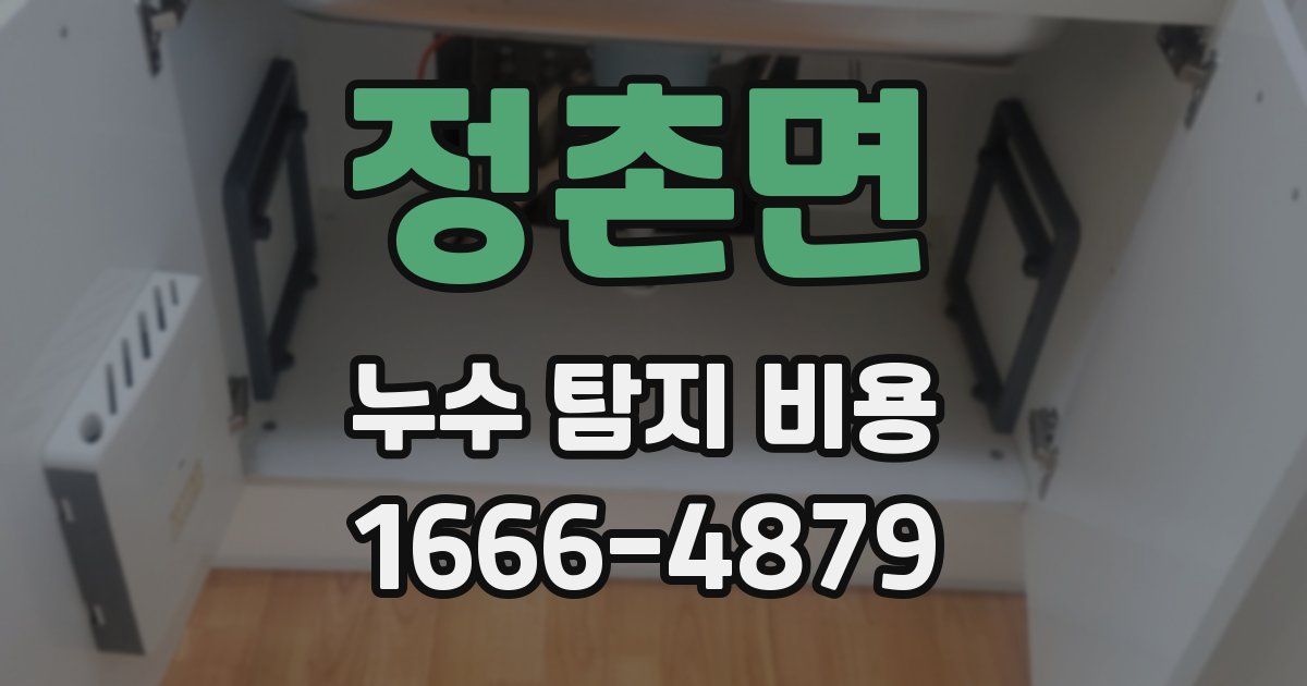 정촌면 누수 탐지 비용