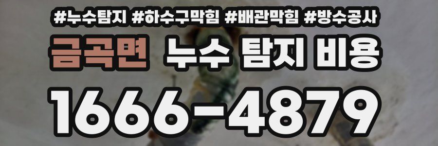 금곡면 누수 탐지 비용
