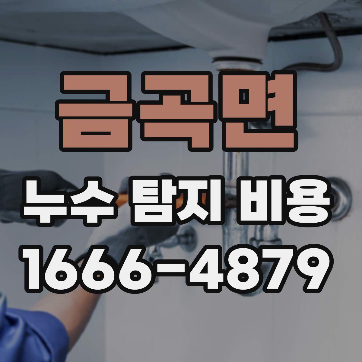 금곡면 누수 탐지 비용