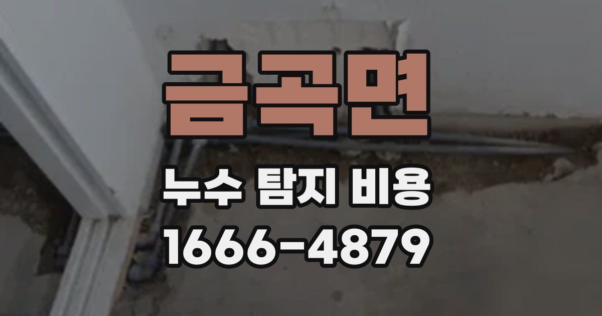 금곡면 누수 탐지 비용