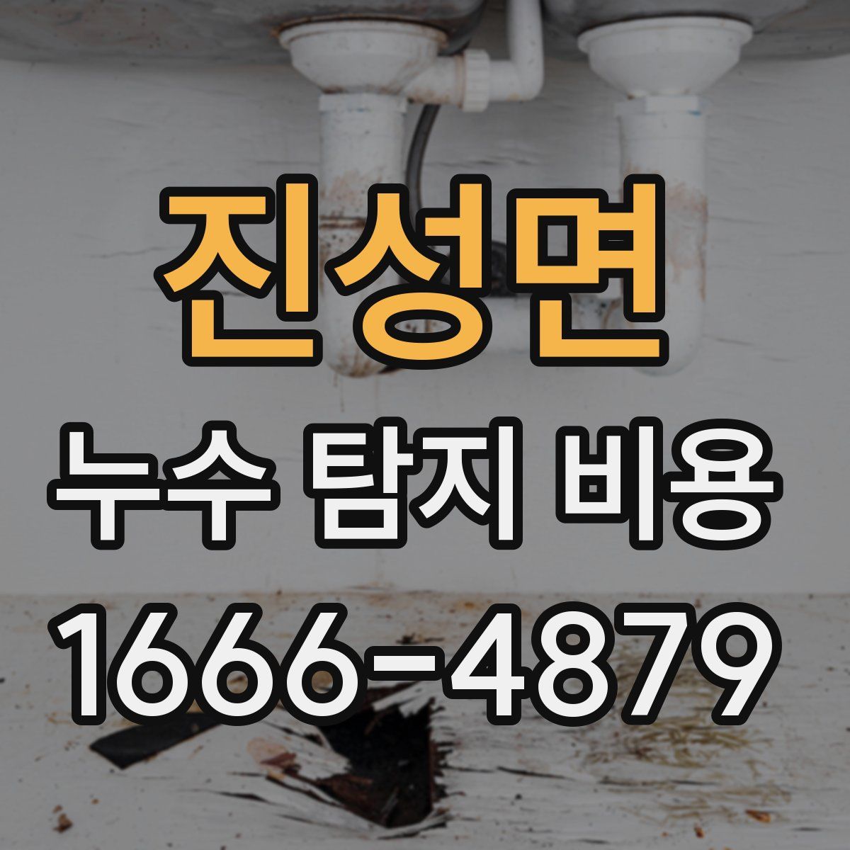 진성면 누수 탐지 비용