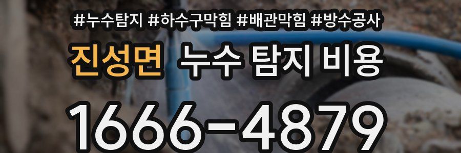 진성면 누수 탐지 비용