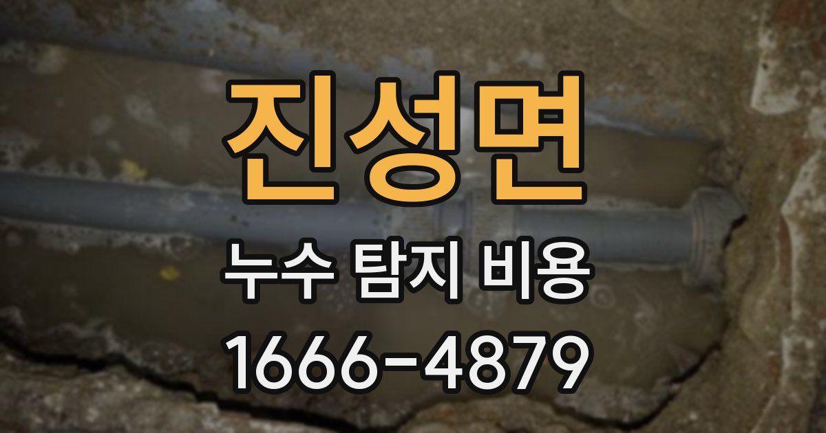 진성면 누수 탐지 비용