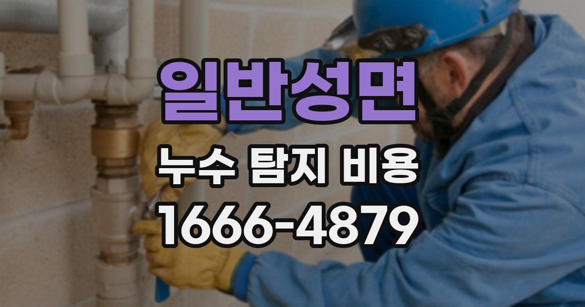 일반성면 누수 탐지 비용