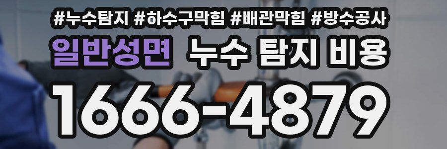 일반성면 누수 탐지 비용