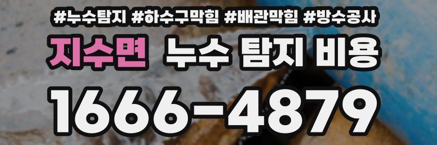 지수면 누수 탐지 비용