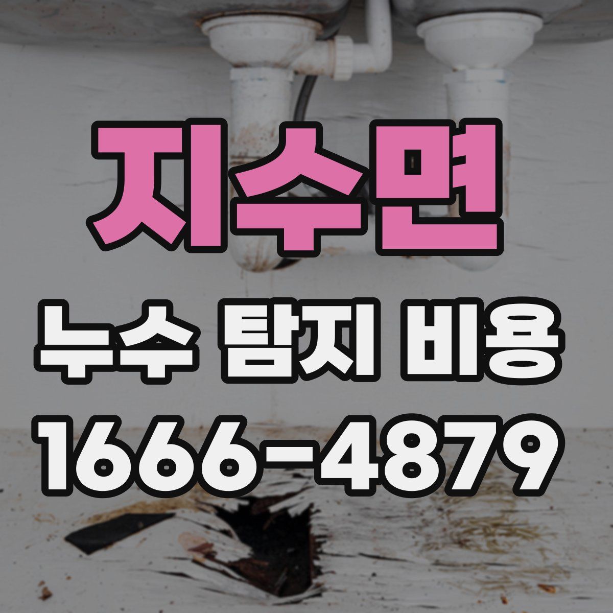 지수면 누수 탐지 비용