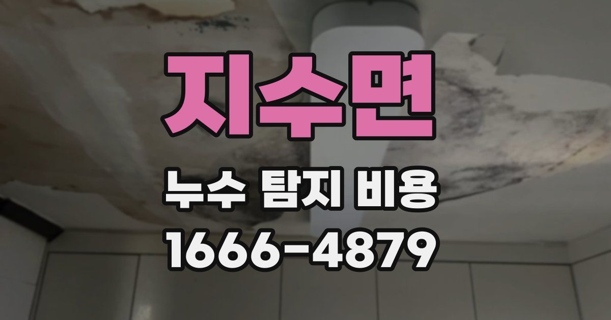 지수면 누수 탐지 비용
