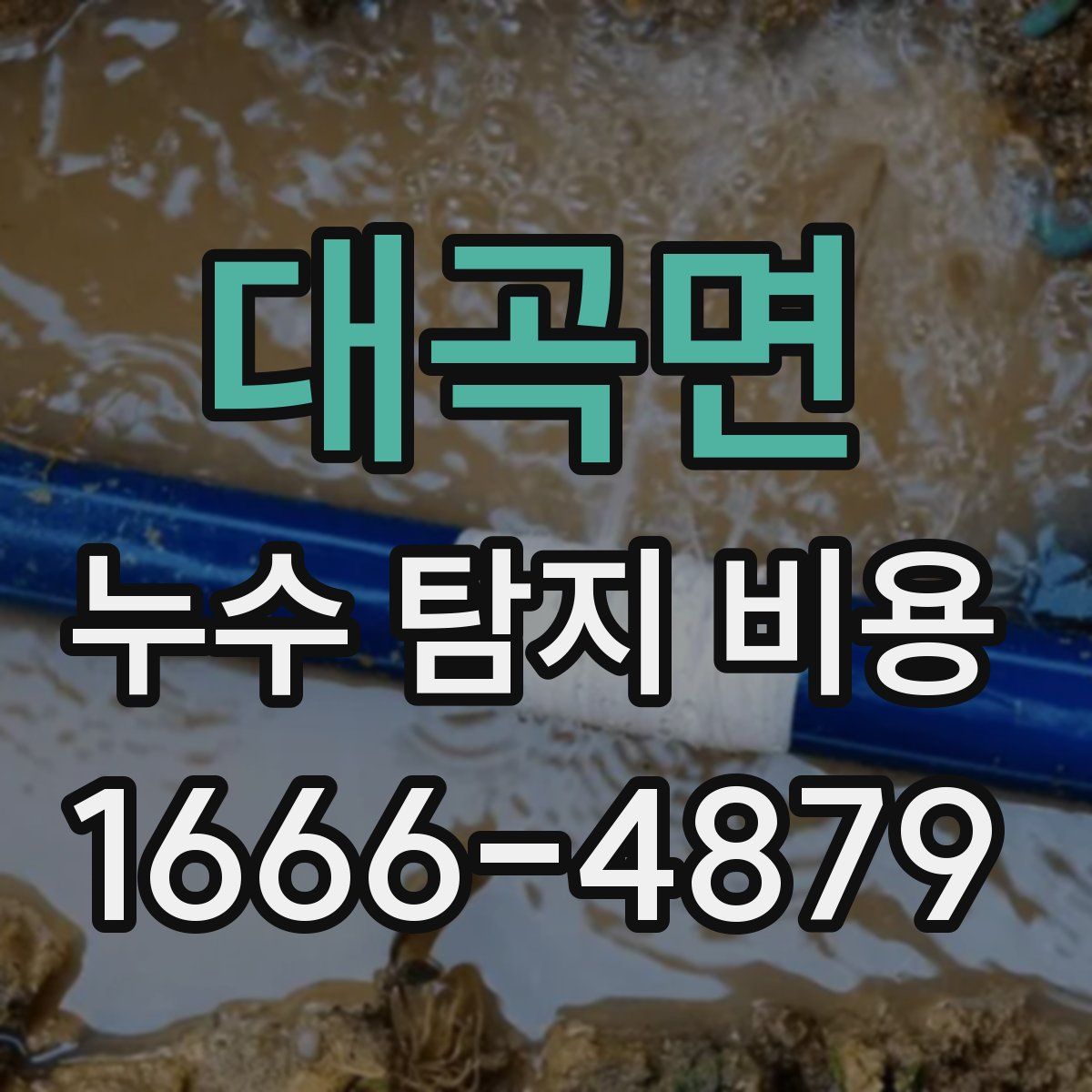 대곡면 누수 탐지 비용
