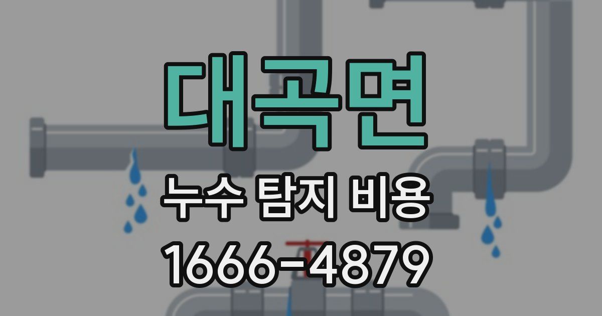 대곡면 누수 탐지 비용