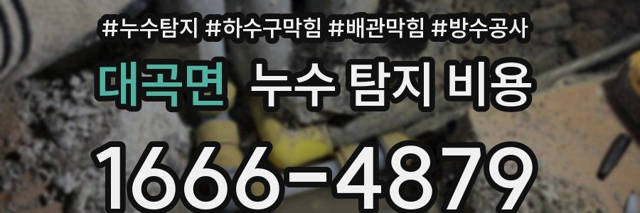 대곡면 누수 탐지 비용