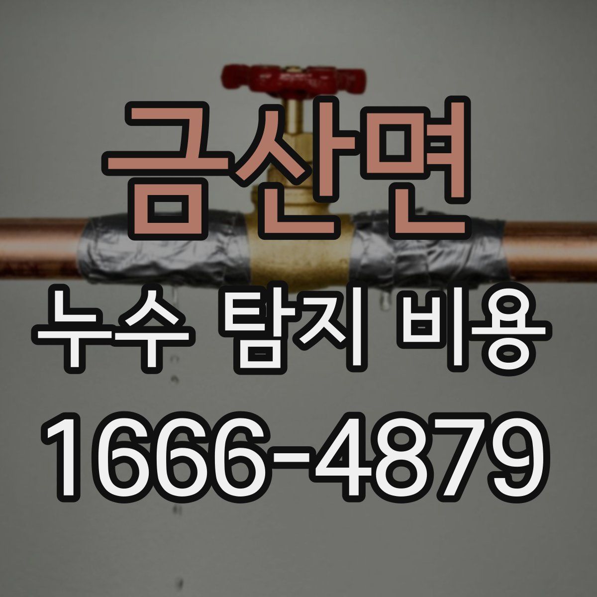 금산면 누수 탐지 비용