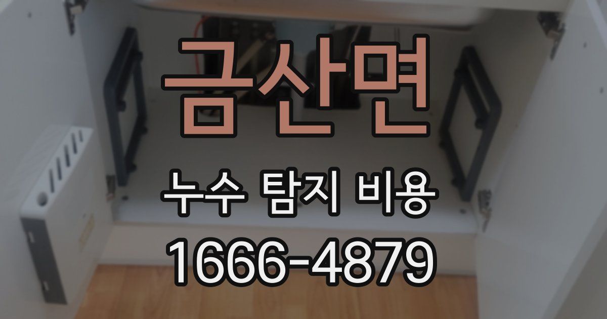 금산면 누수 탐지 비용