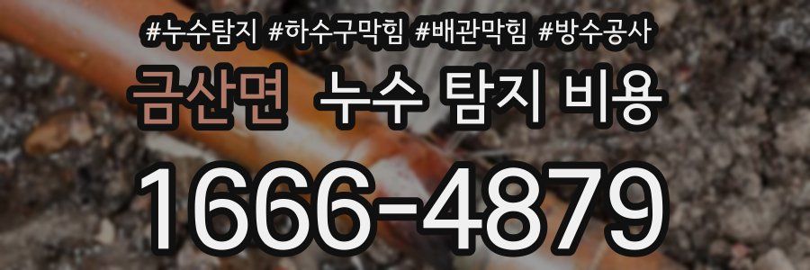 금산면 누수 탐지 비용