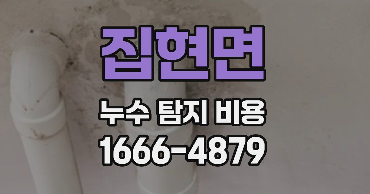 집현면 누수 탐지 비용