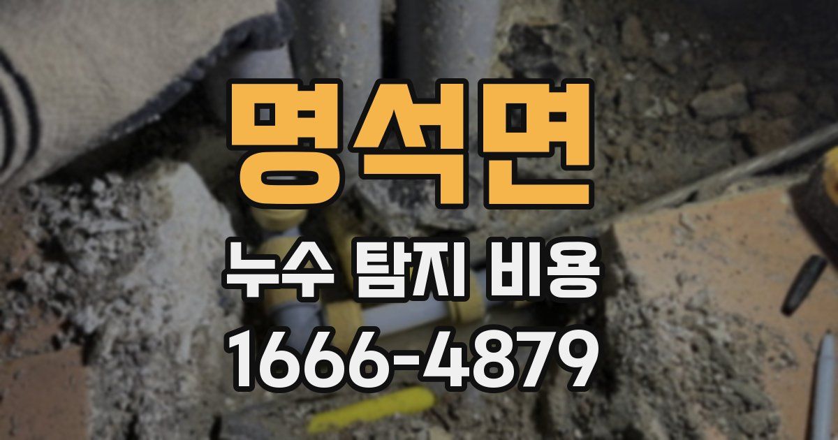 명석면 누수 탐지 비용