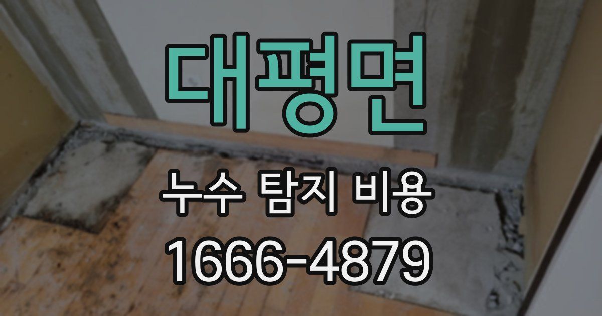 대평면 누수 탐지 비용