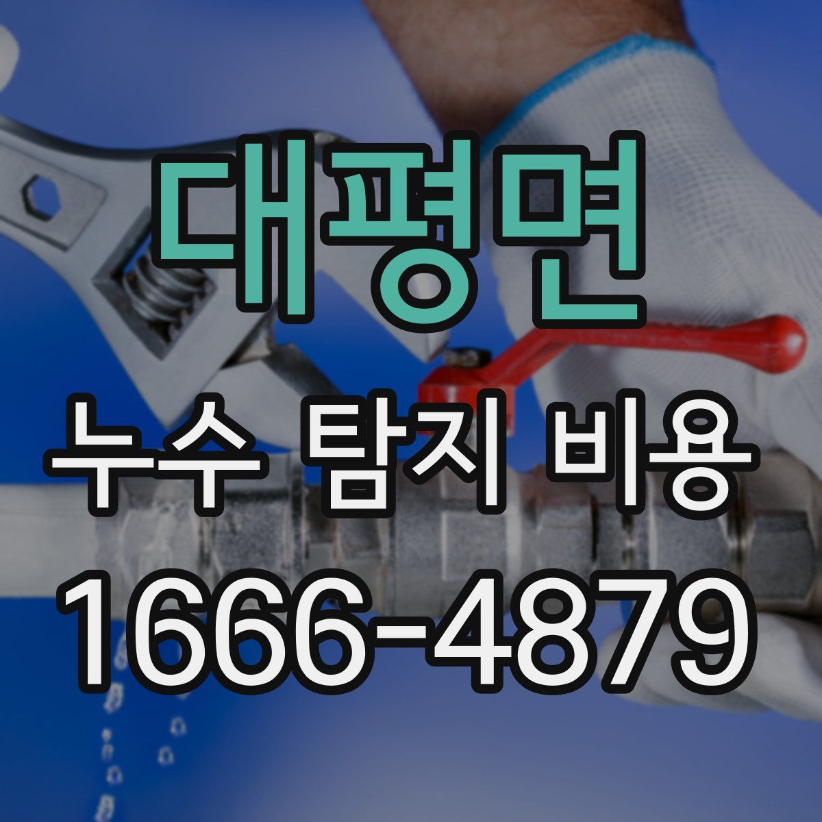 대평면 누수 탐지 비용