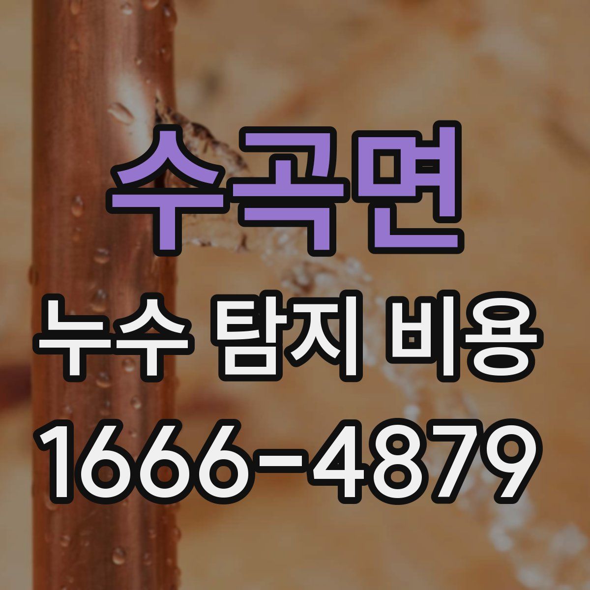 수곡면 누수 탐지 비용