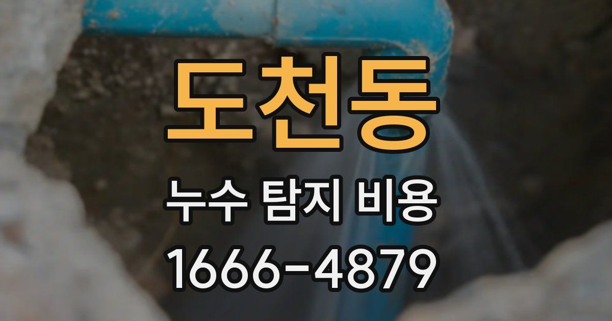 도천동 누수 탐지 비용