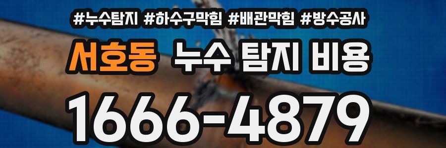 서호동 누수 탐지 비용
