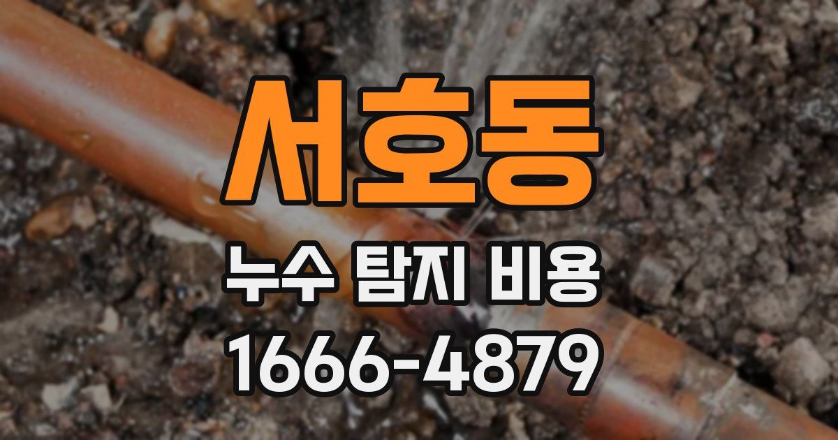 서호동 누수 탐지 비용