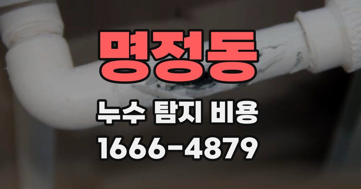 명정동 누수 탐지 비용