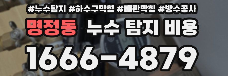 명정동 누수 탐지 비용
