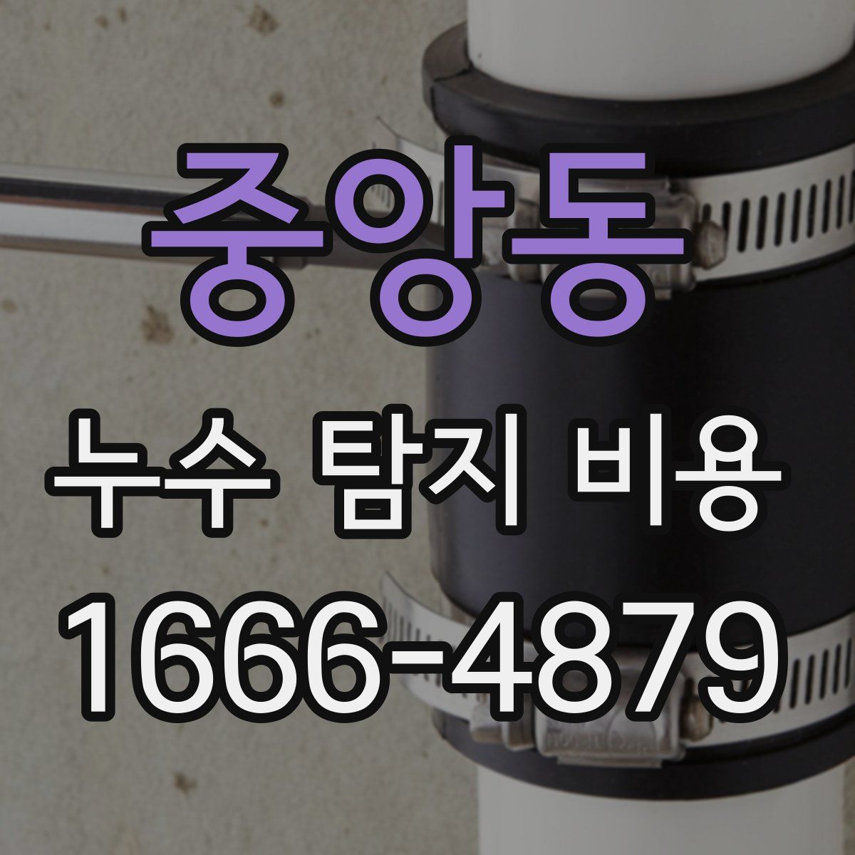 중앙동 누수 탐지 비용