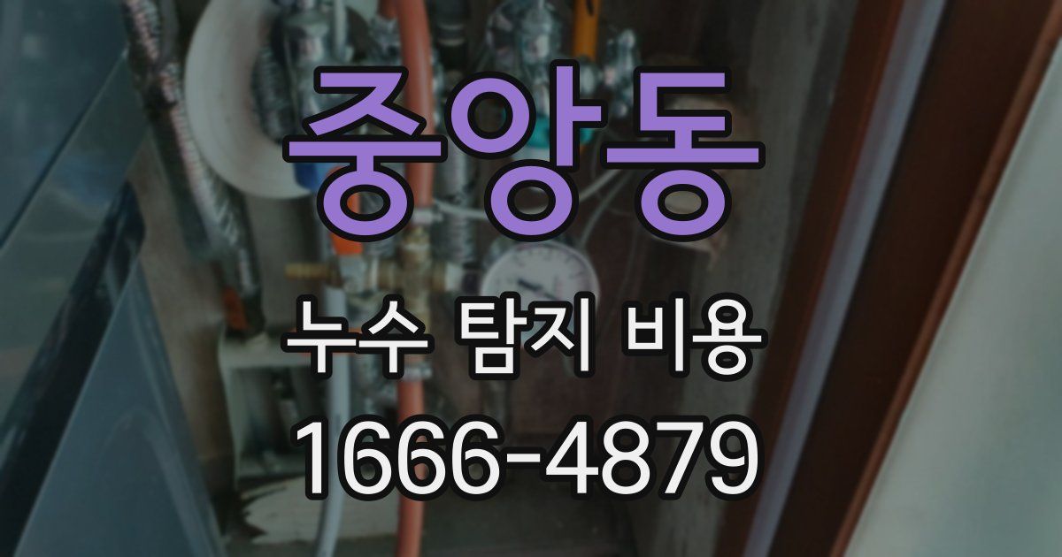 중앙동 누수 탐지 비용