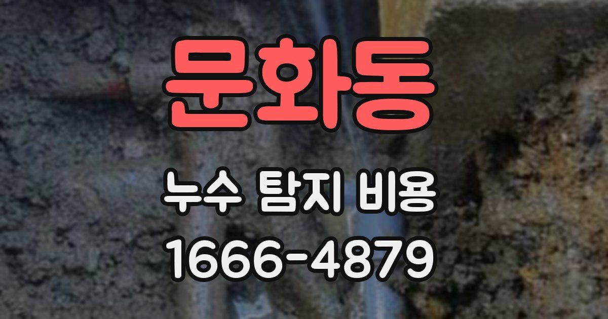 문화동 누수 탐지 비용