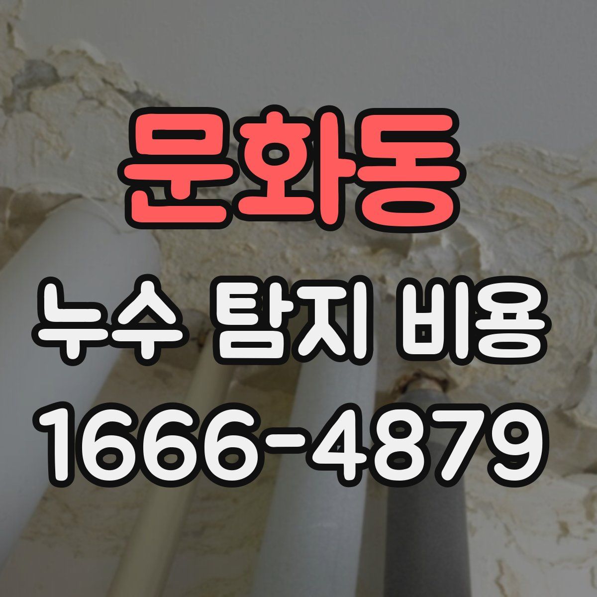문화동 누수 탐지 비용