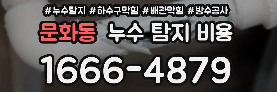 문화동 누수 탐지 비용