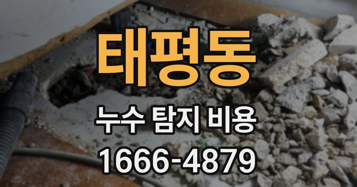 태평동 누수 탐지 비용