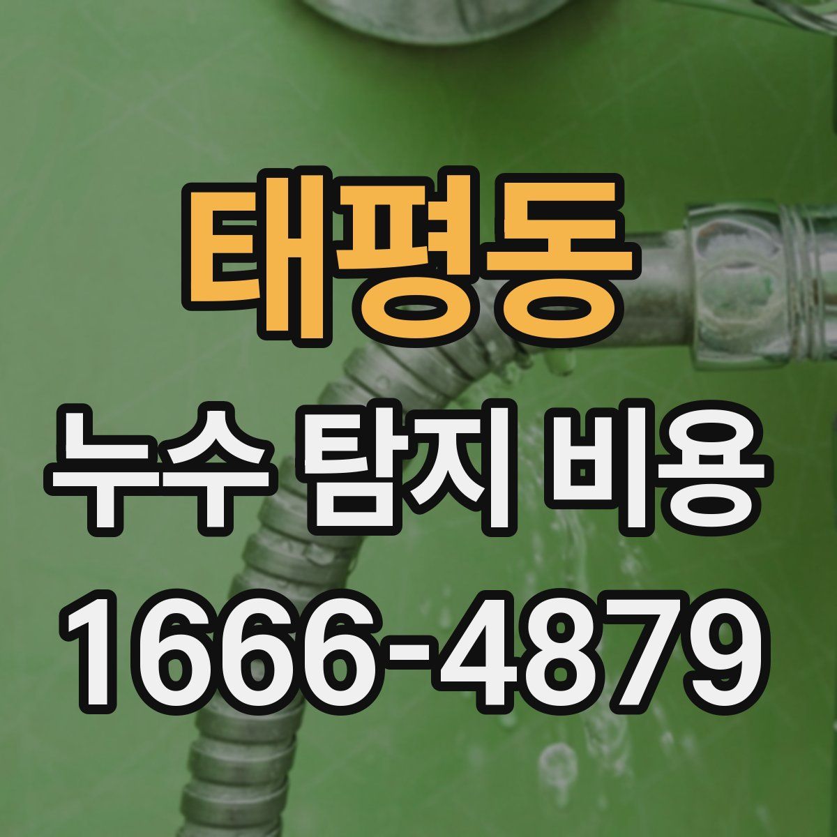 태평동 누수 탐지 비용