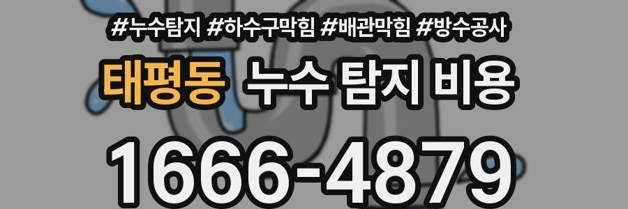 태평동 누수 탐지 비용