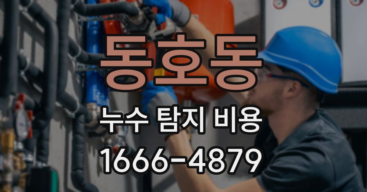 동호동 누수 탐지 비용