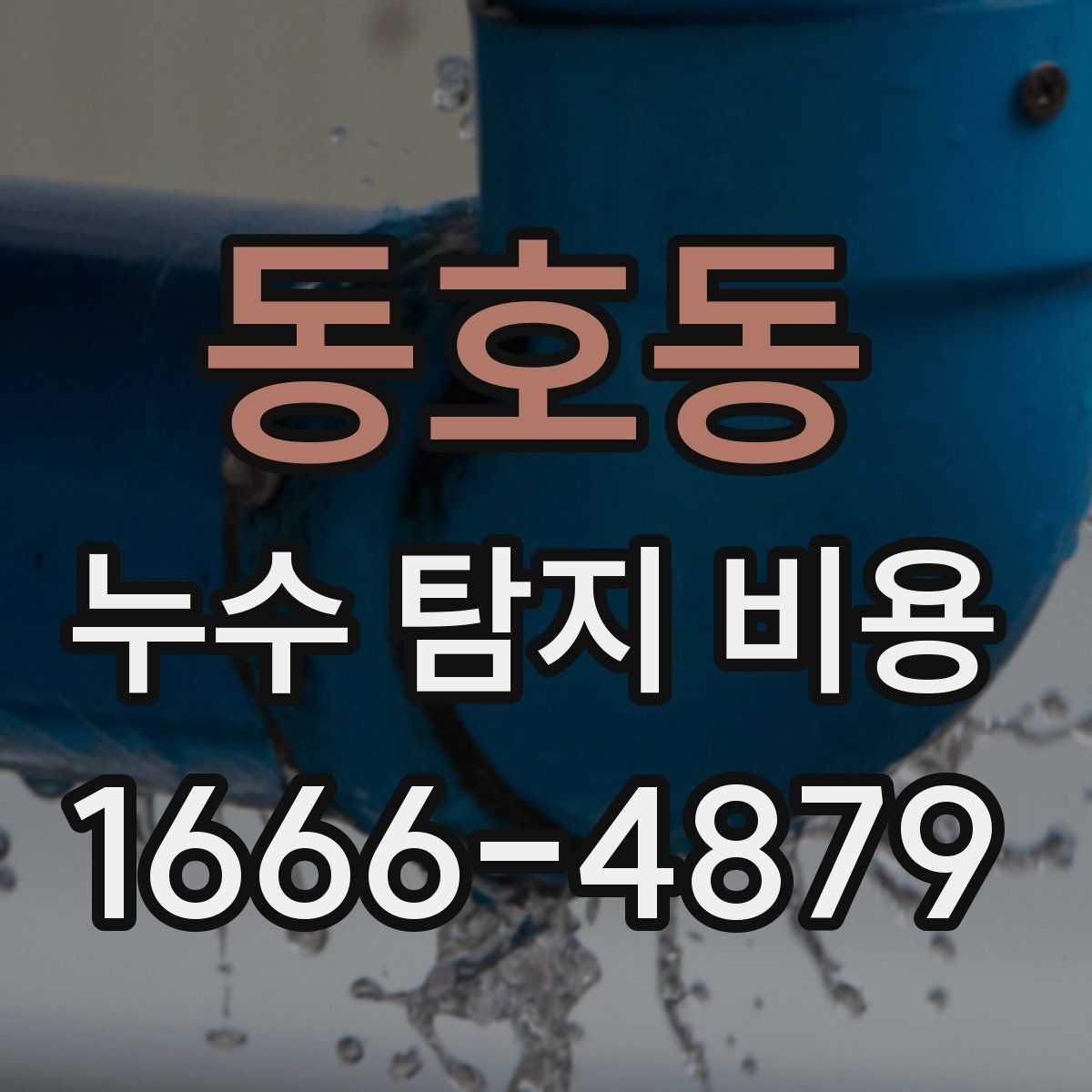 동호동 누수 탐지 비용