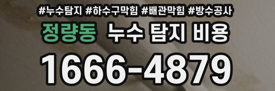 정량동 누수 탐지 비용