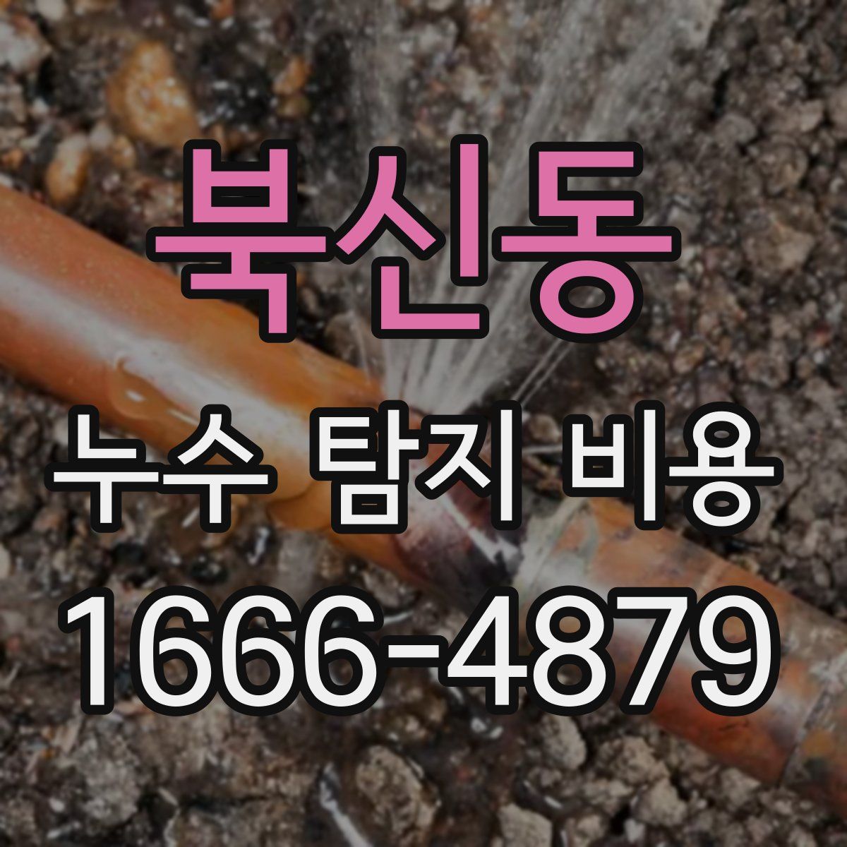 북신동 누수 탐지 비용