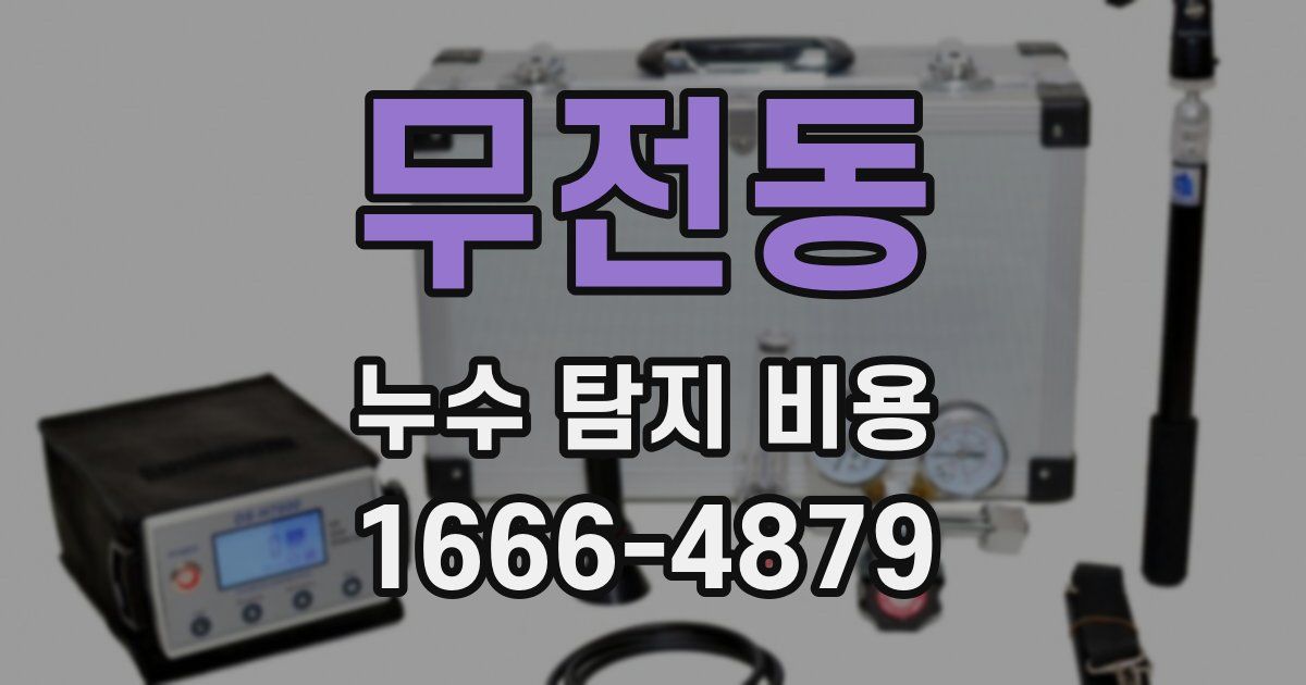 무전동 누수 탐지 비용