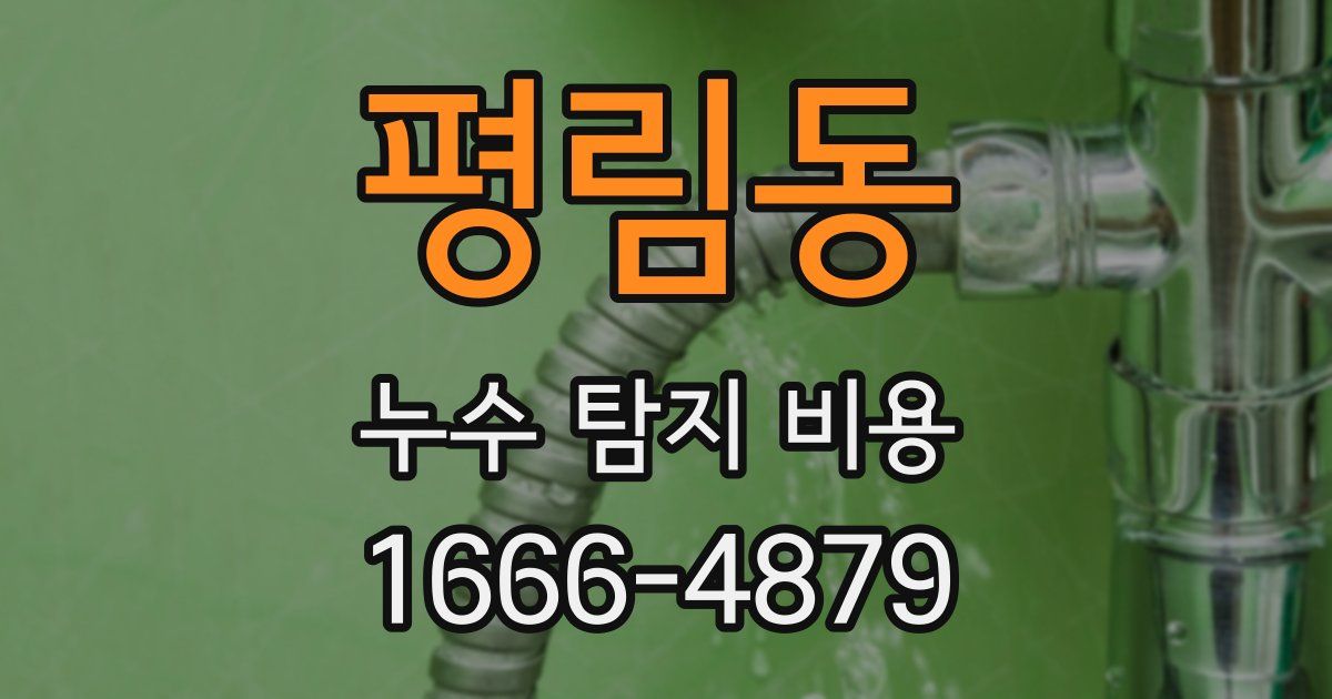 평림동 누수 탐지 비용