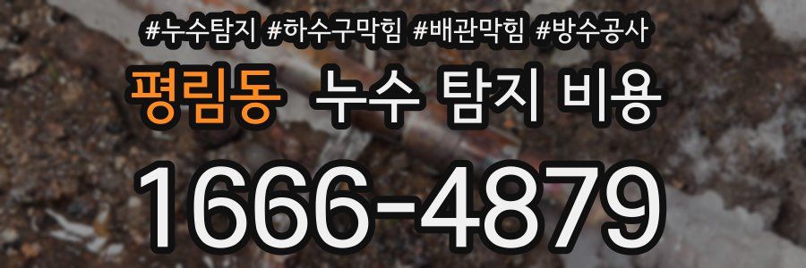 평림동 누수 탐지 비용
