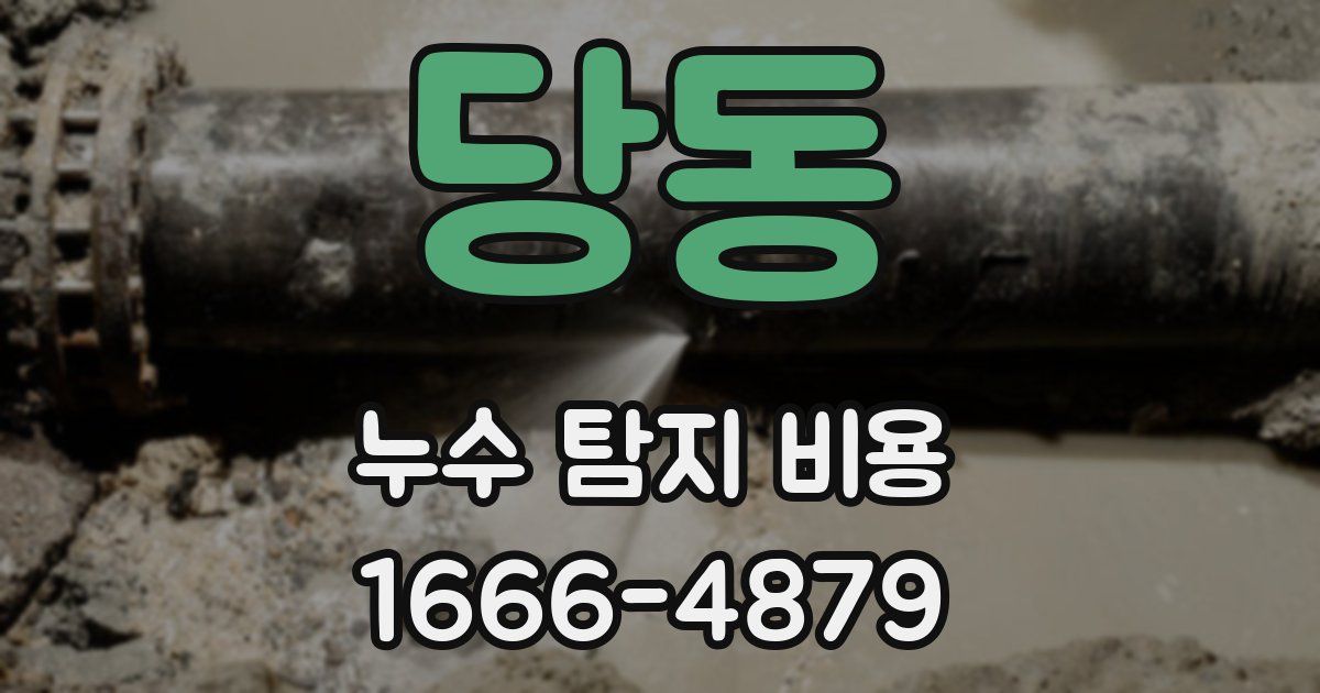 당동 누수 탐지 비용