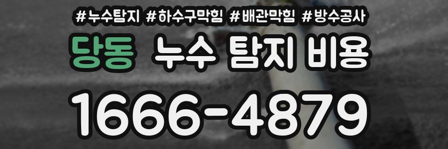 당동 누수 탐지 비용