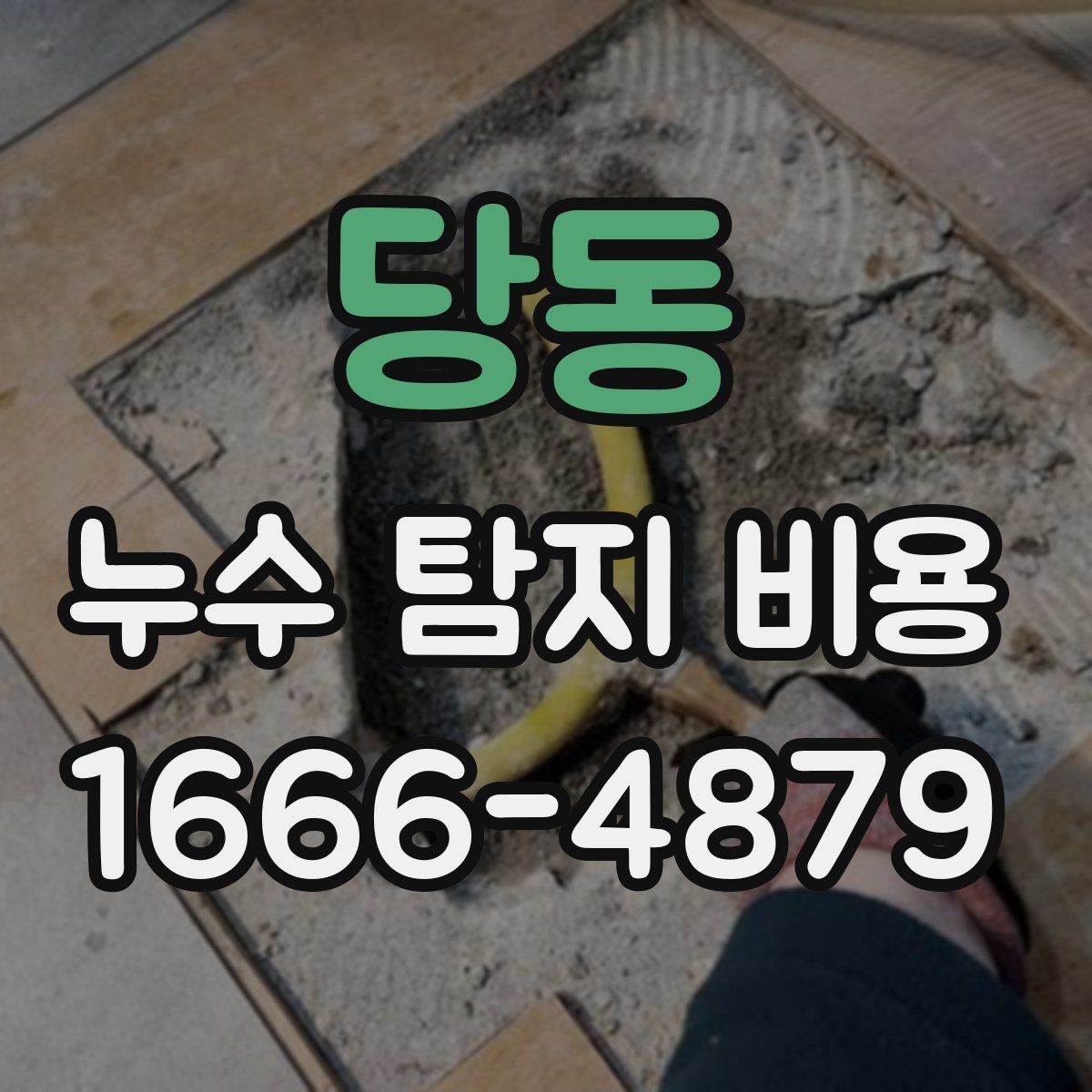 당동 누수 탐지 비용